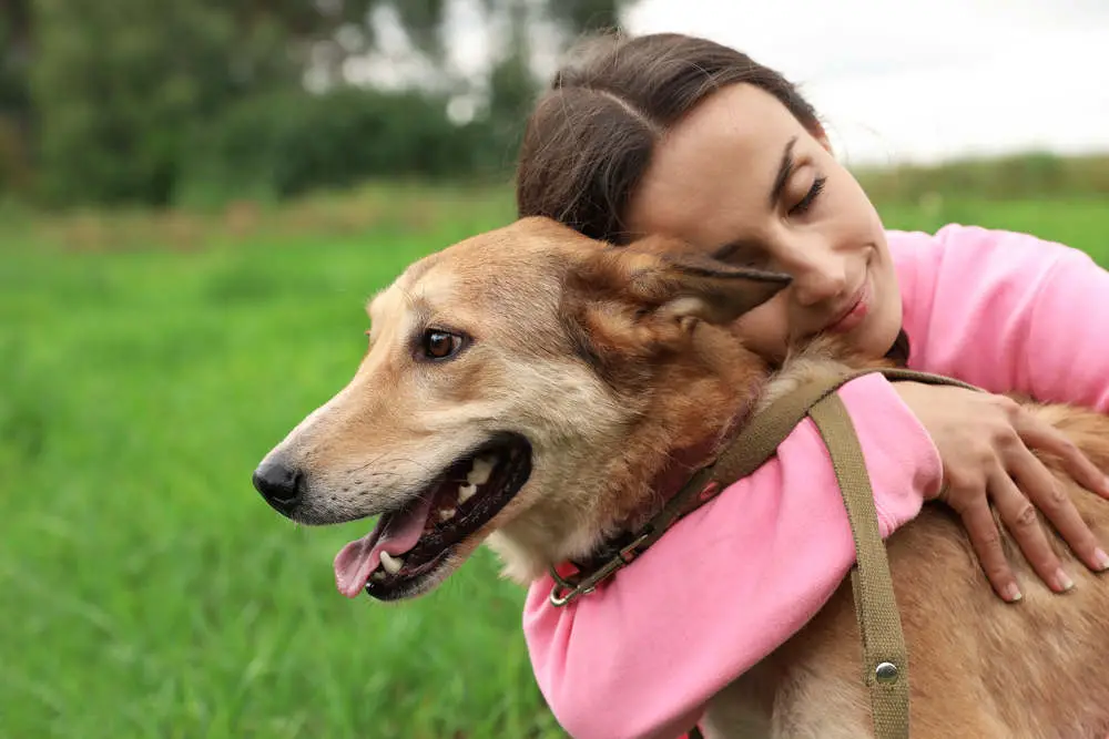 Dog showing affection to owner