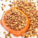 Dry dog food in a bowl
