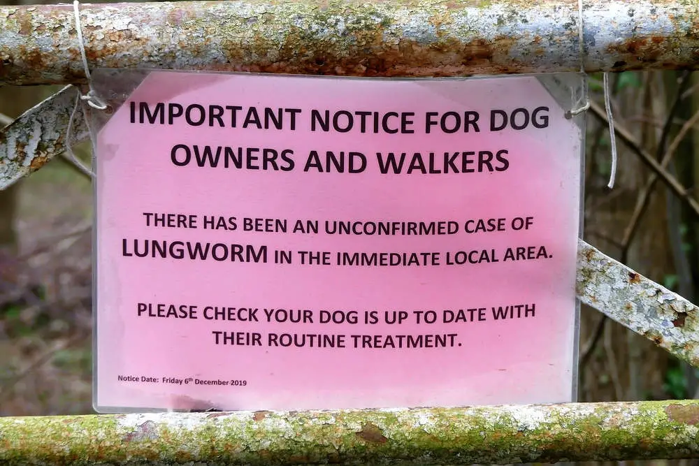 Lungworm warning sign