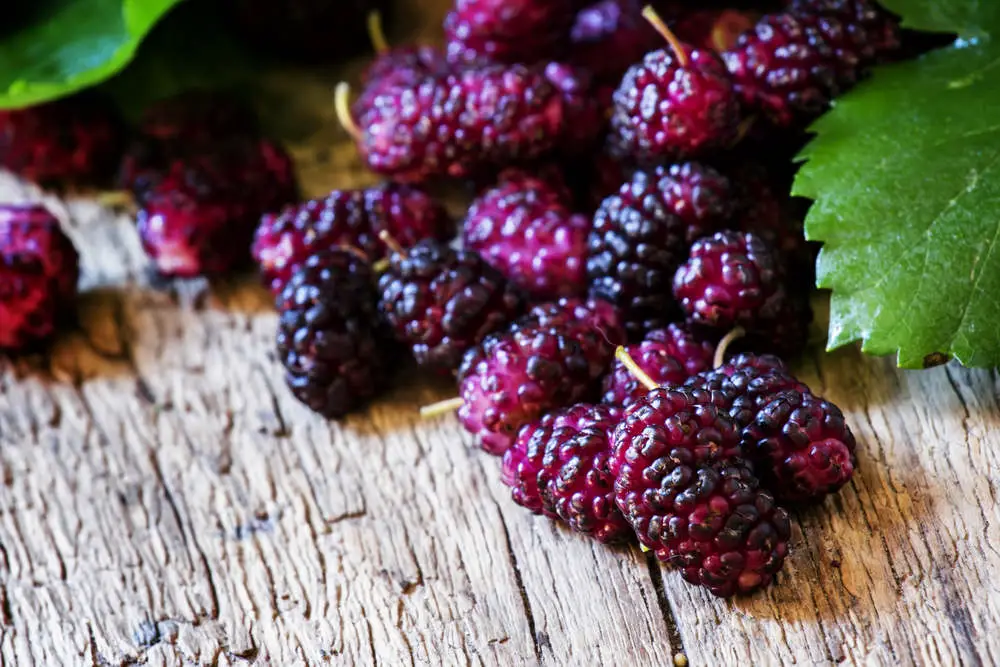 Mulberries on wooden table