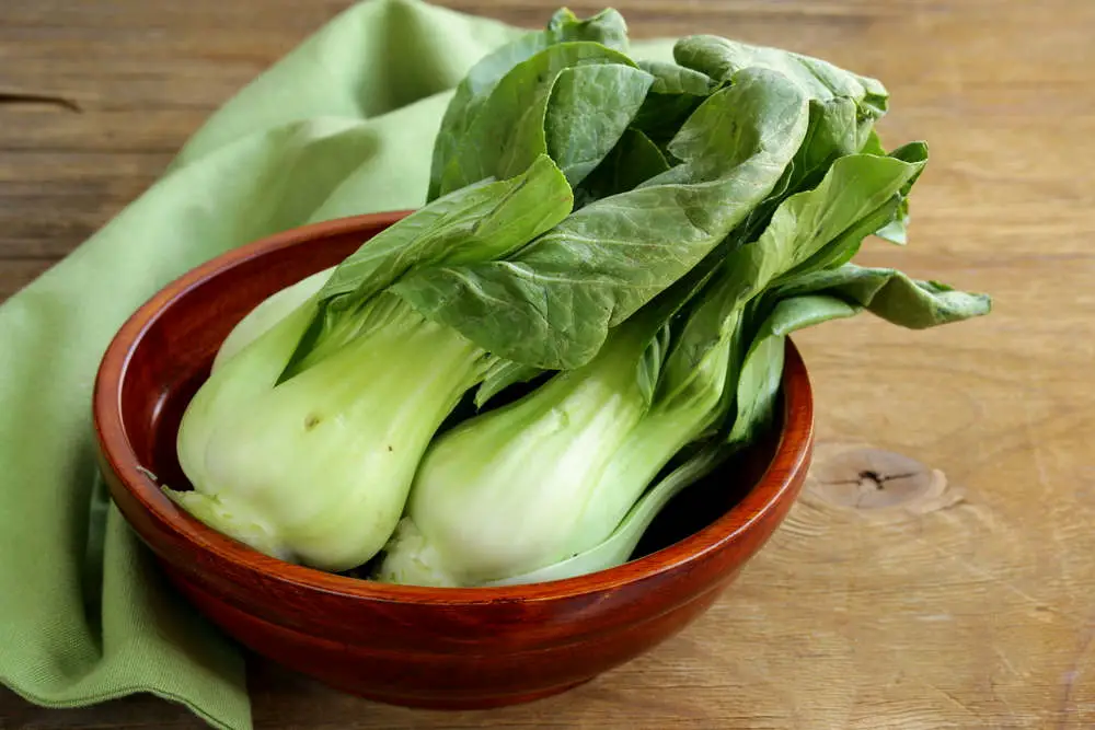 Bok Choy in bowl on table