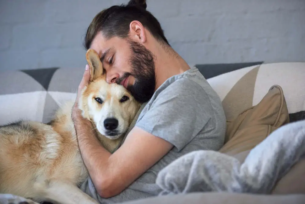 Dog getting love from owner