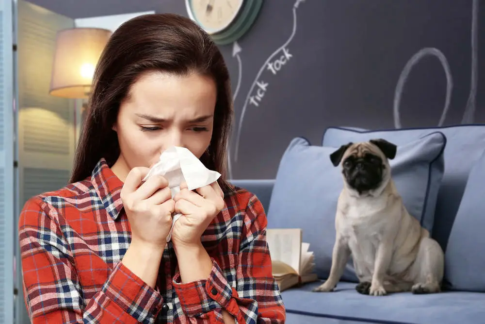 Dog scared when woman sneezes