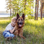 Video of German Shepherd Playing Gently With Toddler Will Warm Your Heart