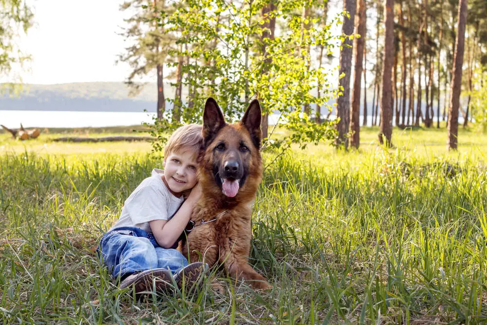 German Shepherd with toddler