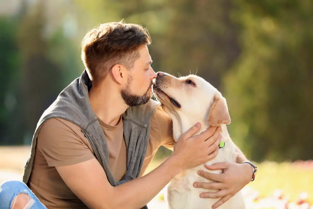 Dog giving owner kisses