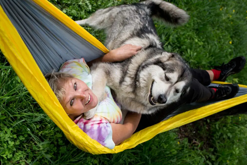 Dog trying to get into hammock