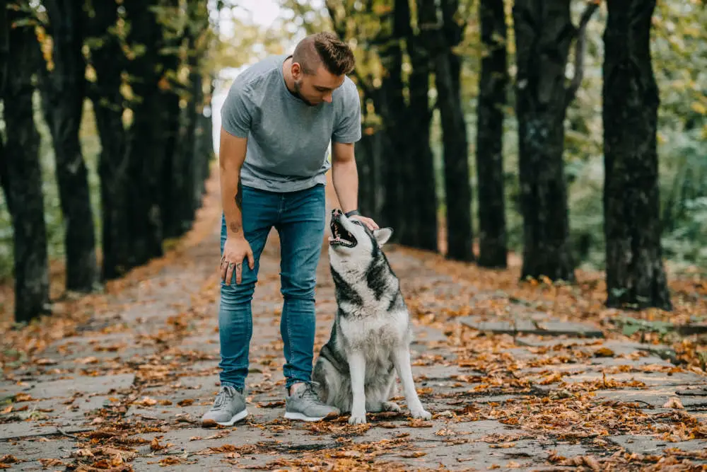 Happy Husky with owner at the park