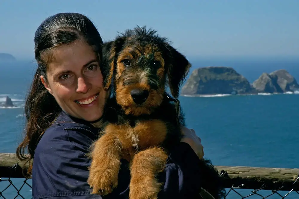 Airedale Terrier puppy with family