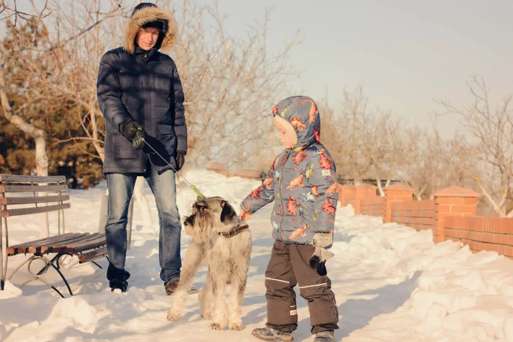 Boy petting dog outside in snow