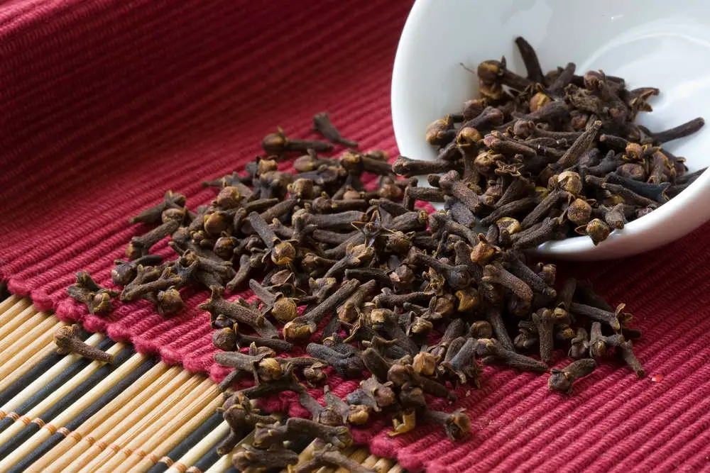 Cloves on table and bowl