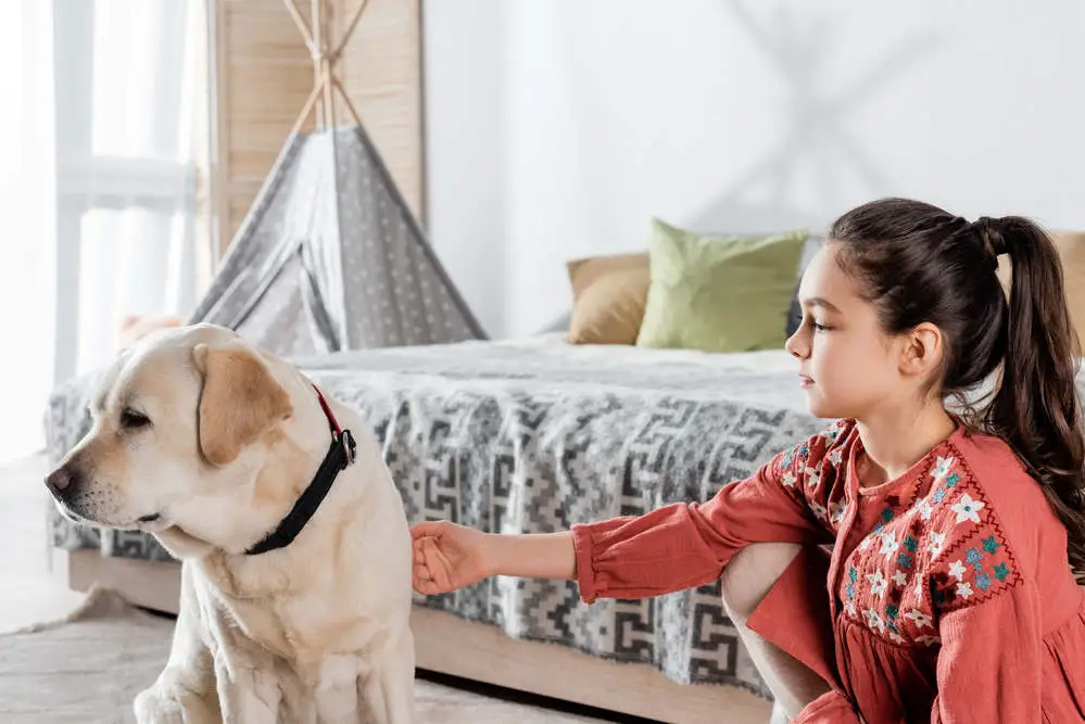 Dog looking away from girl