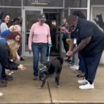 Adoptmas giving sendoff to senior dog, Star