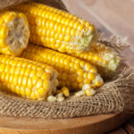 Can Dogs Eat Corn Cobs?