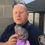 Firefighter Rescues Sick Stray Puppy and Gives Her a Loving Forever Home