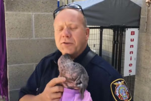 Firefighter visiting puppy he rescued