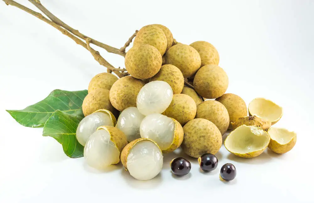 Longan fruit